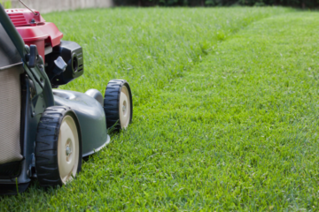 Lawn Mowing Service