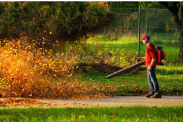 Fall Cleanup Service